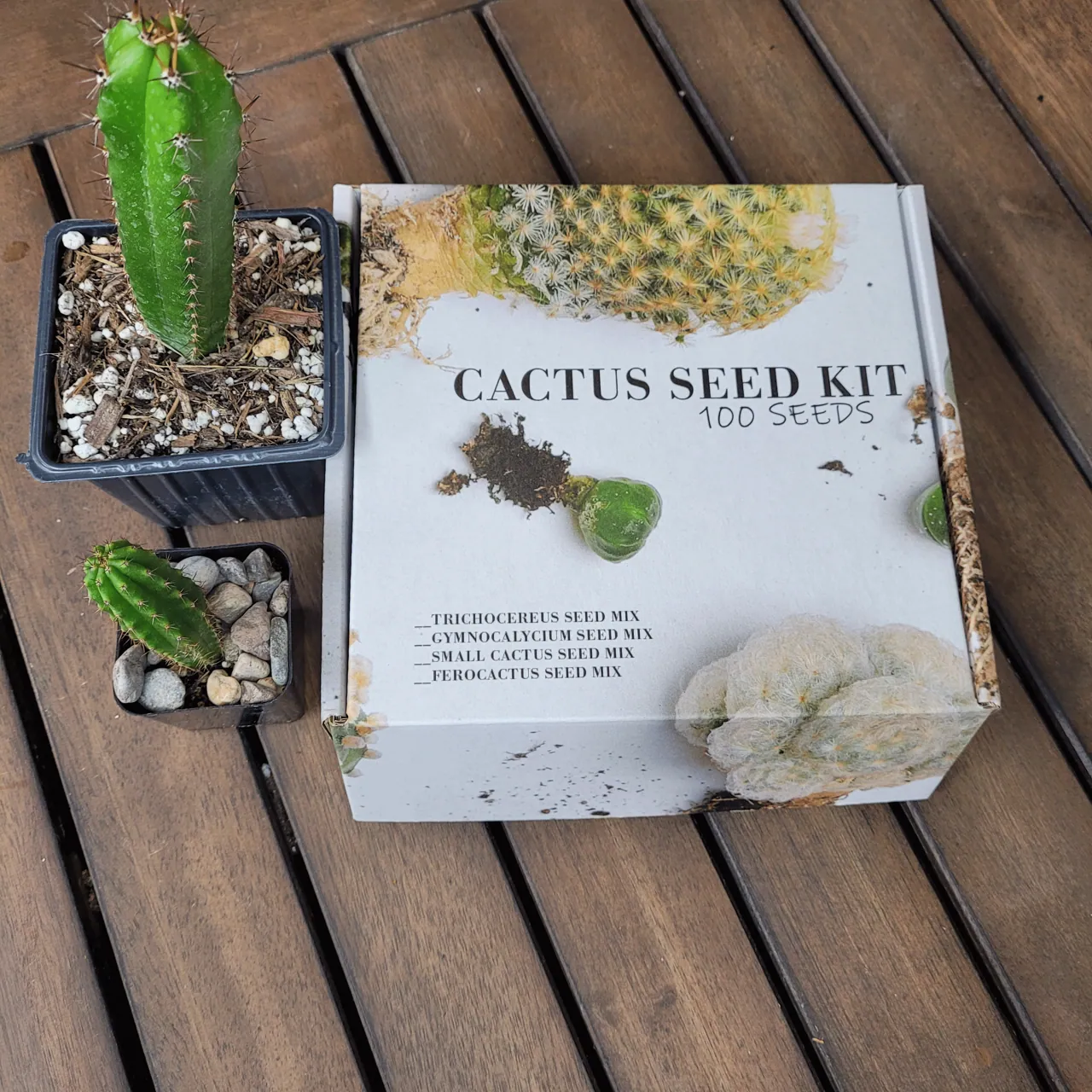 Growing kits collection photograph